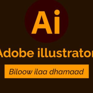 Masterclass Adobe Illustrator